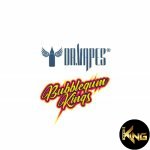 BUBBLEGUM KINGS WATERMELON ICE 30ML - Image 2