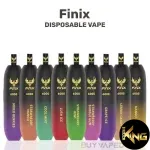 FINIX 6000 PUFFS DISPOSABLE VAPE