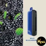 FUMMO INDIC 12K DISPOSABLE - Image 7