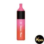 FUMMYVAPE EVO 4500 PUFFS DISPOSABLE - Image 4