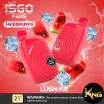 ISGO PARIS 14000 PUFFS DISPOSABLE - Image 6