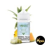 POLAR BREEZE - NAKED 100 - 60ML