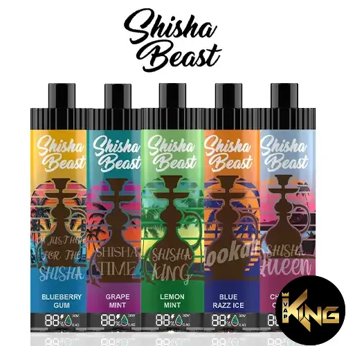 RM-Shisha-Beast-20000-Puffs-Disposable-Vape-In-Dubai-UAE.webp R&M SHISHA BEAST 20000 PUFFS DISPOSABLE - Image 1