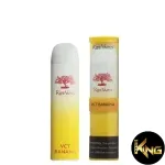 RIPE VAPES PALM DISPOSABLE 3000 PUFFS - Image 9
